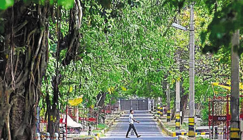 Delhi HC Stays Felling Of 20,000 Trees For Redevelopment Of South Delhi Colonies Till 4 July Delhi HC Stays Felling Of 20,000 Trees For Redevelopment Of South Delhi Colonies Till 4 July