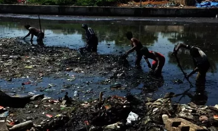 Manual Scavenging: Madras High Court Directs State To Submit Report On Compensation Paid And Rehabilitation Measures Taken In Four Weeks Manual Scavenging: Madras High Court Directs State To Submit Report On Compensation Paid And Rehabilitation Measures Taken In Four Weeks