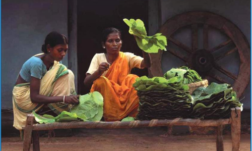Action Should Be Against Urban Encroachers Of Forest Lands And Not Tribals, Observes SC Action Should Be Against Urban Encroachers Of Forest Lands And Not Tribals, Observes SC