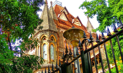 Can In-service Employee of Air India Be Allowed To Contest Election? Bombay HC To Examine Can In-service Employee of Air India Be Allowed To Contest Election? Bombay HC To Examine