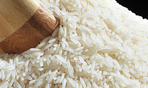 AP High Court Dismisses Plea Alleging “Double Taxation” On Sale Of Basmati Rice, Says Fees Collected By Agricultural Market Committee For Its Services Is Not Tax