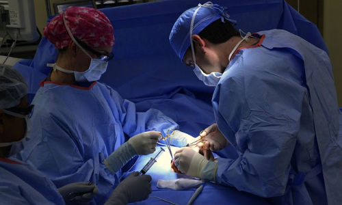 Missing Kidney In Dead Body A Mystery, Punjab & Haryana High Court Directs Police Commissioner To Probe Allegations Against Doctors, Hospital