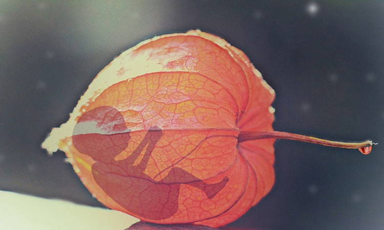 Kerala High Court Directs Hospital To Do The Needful In Minor Rape Victims Plea For Termination Of 26-Week Pregnancy Kerala High Court Directs Hospital To Do The Needful In Minor Rape Victims Plea For Termination Of 26-Week Pregnancy