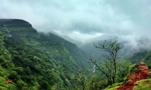 Expert Committee Suggests Before NGT To Regulate Number Of Horses To Protect Matheran Hill Station Expert Committee Suggests Before NGT To Regulate Number Of Horses To Protect Matheran Hill Station