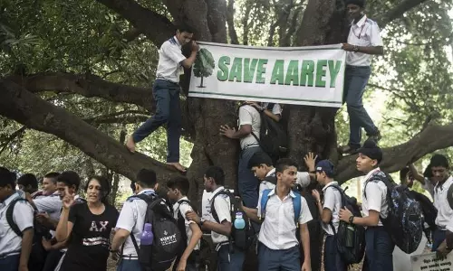 Supreme Court Bench Led By Justice Chandrachud To Hear Plea Against Aarey Tree Felling Supreme Court Bench Led By Justice Chandrachud To Hear Plea Against Aarey Tree Felling