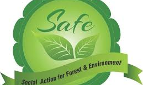NGT Directs CPCB To Issue Guidelines On Management Of Waste Tyres And Restrict Its Import NGT Directs CPCB To Issue Guidelines On Management Of Waste Tyres And Restrict Its Import