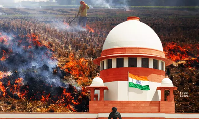 Stubble Burning: Centre To Place Ordinance On Stubble Burning Before Supreme Court Next Week Stubble Burning: Centre To Place Ordinance On Stubble Burning Before Supreme Court Next Week