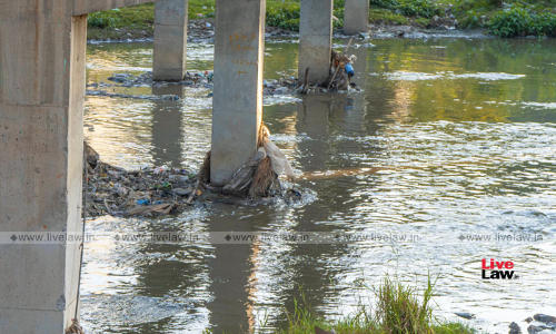 Water Bodies Must Not Be Encroached, State Must Maintain Vigil: Delhi High Court Water Bodies Must Not Be Encroached, State Must Maintain Vigil: Delhi High Court