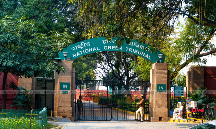 NGT Orders Municipal Council To Take Remedial Measures For Illegal Dumping Of Waste In Ganwari Village Of Meerut [Read Order]