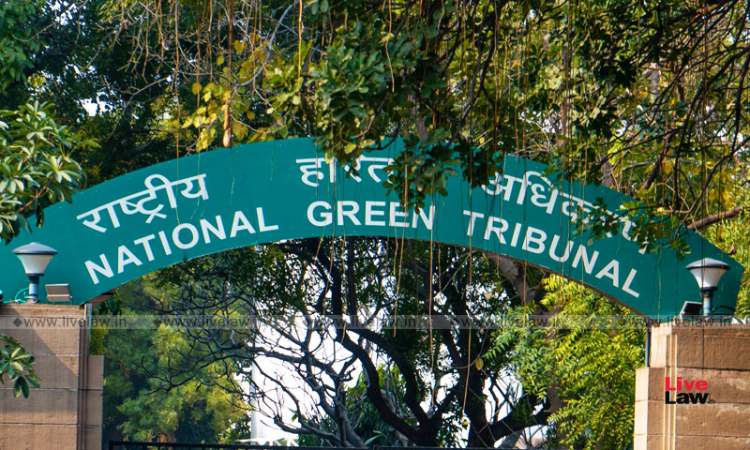 Ennore Thermal Power Plant: Cant Stop Authorities From Exercising Statutory Powers; NGT Southern Zone Refuses To Reschedule Public Hearing Ennore Thermal Power Plant: Cant Stop Authorities From Exercising Statutory Powers; NGT Southern Zone Refuses To Reschedule Public Hearing