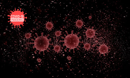 Past Epidemics: How Have Courts Dealt With Them And What Should We Expect With COVID-19? Past Epidemics: How Have Courts Dealt With Them And What Should We Expect With COVID-19?