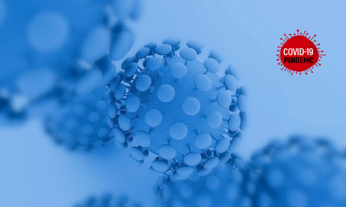 Karnataka HC Dismisses Challenge Against Karnataka Epidemic Diseases Ordinance 2020 Karnataka HC Dismisses Challenge Against Karnataka Epidemic Diseases Ordinance 2020
