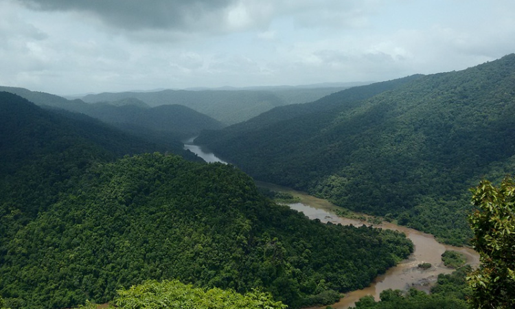 Centres Prior Approval Required To De-reserve Forests : Karnataka High Court Quashes Notification Releasing Forest Land Centres Prior Approval Required To De-reserve Forests : Karnataka High Court Quashes Notification Releasing Forest Land