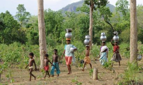 Madras High Court Orders Centre To Relocate 495 Families From Mudumalai Tiger Reserve, Says Paucity Of Funds Not An Excuse