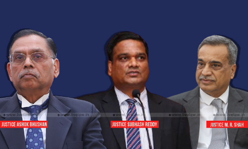 Even A Trespasser In Established Possession Can Obtain Injunction: Supreme Court Even A Trespasser In Established Possession Can Obtain Injunction: Supreme Court