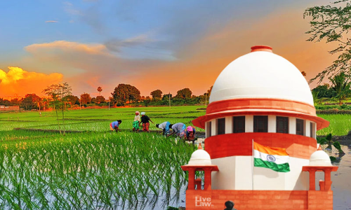 The Supreme Court Should Go Back To Doing What It Is Designed To Do By Our Constitution The Supreme Court Should Go Back To Doing What It Is Designed To Do By Our Constitution