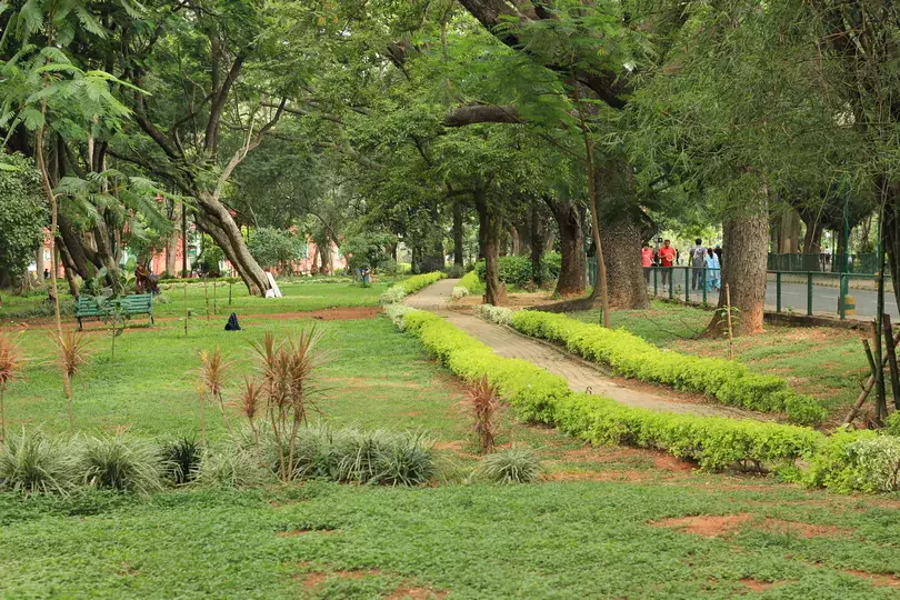 Traffic Movement In Cubbon Park Cannot Be Curbed, Karnataka Govt Tells High Court Traffic Movement In Cubbon Park Cannot Be Curbed, Karnataka Govt Tells High Court