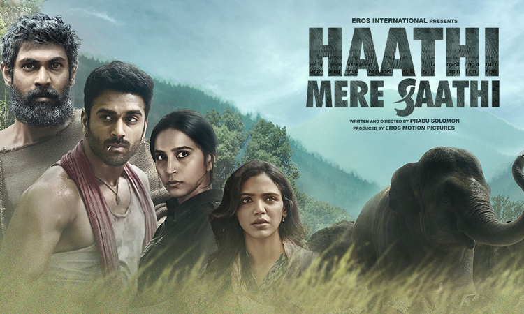 Delhi High Court Refuses To Stay Feature Film Haathi Mere Saathi Release Delhi High Court Refuses To Stay Feature Film Haathi Mere Saathi Release