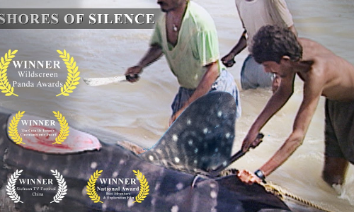 Law On Reels: Shores Of Silence : The Quintessence Of Environmental Activism Law On Reels: Shores Of Silence : The Quintessence Of Environmental Activism