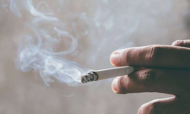 You Really Think People Start Smoking By Watching It On Screen? Kerala High Court On Plea To Ban Smoking Scenes In Films, Serials You Really Think People Start Smoking By Watching It On Screen? Kerala High Court On Plea To Ban Smoking Scenes In Films, Serials
