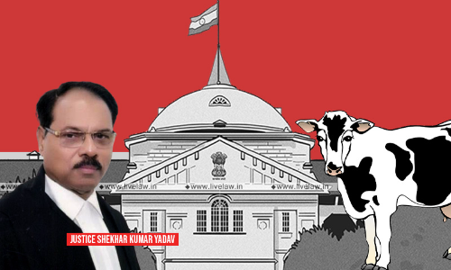 Look Into Cow Slaughter Cases Across State Seriously: Allahabad High Court Directs UP Govt Look Into Cow Slaughter Cases Across State Seriously: Allahabad High Court Directs UP Govt