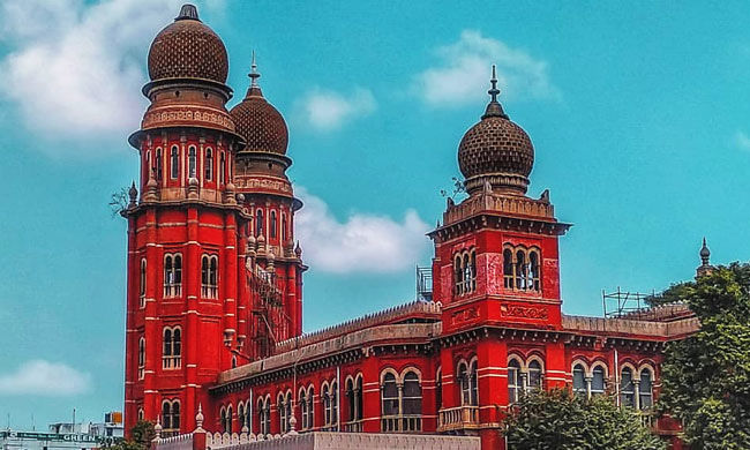 Respond to AIADMKs Plea On Local Body Elections: Madras High Court Directs TN Election Commission Respond to AIADMKs Plea On Local Body Elections: Madras High Court Directs TN Election Commission