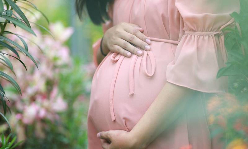 Convict Not Entitled To Emergency Leave For Giving Care To Pregnant Wife: Kerala High Court Convict Not Entitled To Emergency Leave For Giving Care To Pregnant Wife: Kerala High Court