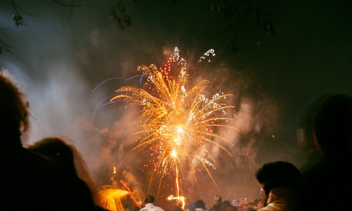 Ban Crackers, Loud Sound In The ESZ Of Fatehsagar Lake Area In Rajasthan: National Green Tribunal Ban Crackers, Loud Sound In The ESZ Of Fatehsagar Lake Area In Rajasthan: National Green Tribunal
