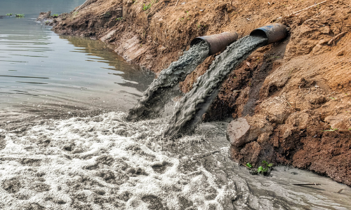 NGT Seeks Response Of Authorities On Petition Filed Against Pollution In Varanasi’s Ganga NGT Seeks Response Of Authorities On Petition Filed Against Pollution In Varanasi’s Ganga