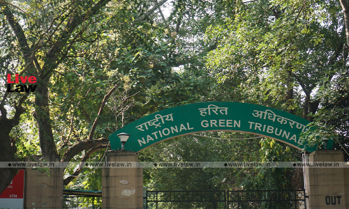 NGT Steps In On Concretization Of Storm Water Drain, Buffer Zone In Ghaziabad NGT Steps In On Concretization Of Storm Water Drain, Buffer Zone In Ghaziabad