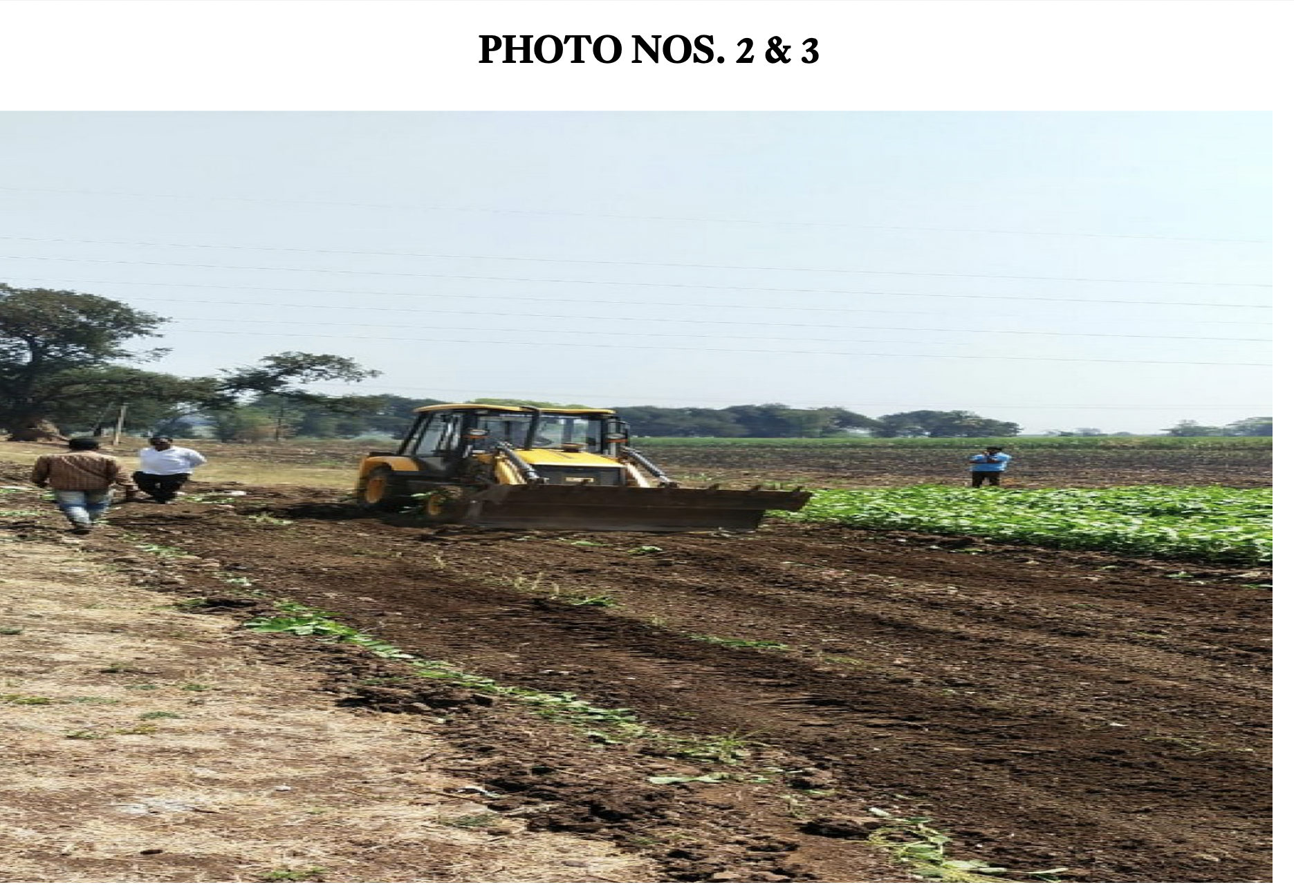 Photo annexed in the judgment showing petitioners crops being destroyed by civic officials Photo annexed in the judgment showing petitioners crops being destroyed by civic officials