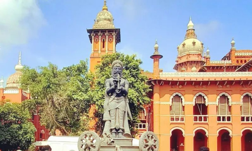 Teachers Who Have Not Qualified TET Cannot Continue Service In Schools: Madras High Court Teachers Who Have Not Qualified TET Cannot Continue Service In Schools: Madras High Court