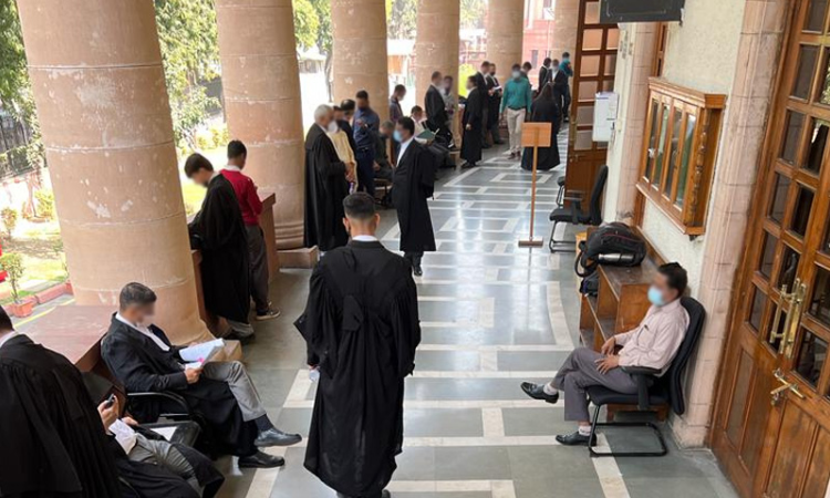 Senior Lawyers With 20 Yrs Experience Must Guide At Least 15 Juniors, Opines Supreme Court Senior Lawyers With 20 Yrs Experience Must Guide At Least 15 Juniors, Opines Supreme Court