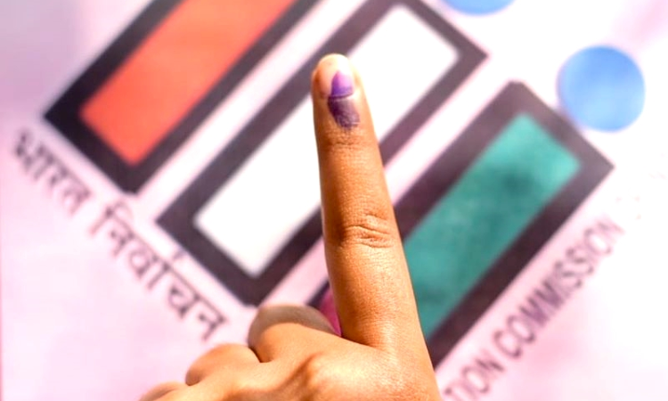 Bombay High Court | Busy Election Schedules Of ECI | Pune Lok Sabha Bypoll Election Bombay High Court | Busy Election Schedules Of ECI | Pune Lok Sabha Bypoll Election