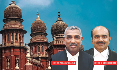 Elephant Poaching In Western Ghats: Madras High Court Constitutes Special Investigation Team Elephant Poaching In Western Ghats: Madras High Court Constitutes Special Investigation Team