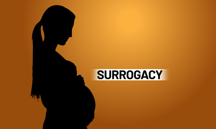 Bombay High Court Seeks Hospitals Response To Couples Plea For Completion Of Surrogacy Procedure Bombay High Court Seeks Hospitals Response To Couples Plea For Completion Of Surrogacy Procedure