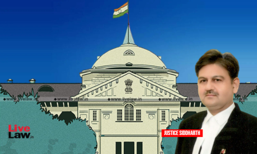 Majority Of Parents Blame Daughter In Law If Their Son Dies Untimely: Allahabad HC Orders Compassionate Appointment For Widow