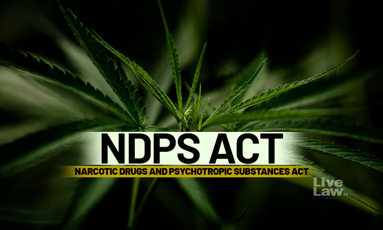 Artificial Delay Created By Accused Not Grounds For Bail: P&H High Court Issues Directions To Fast-Track NDPS Trials