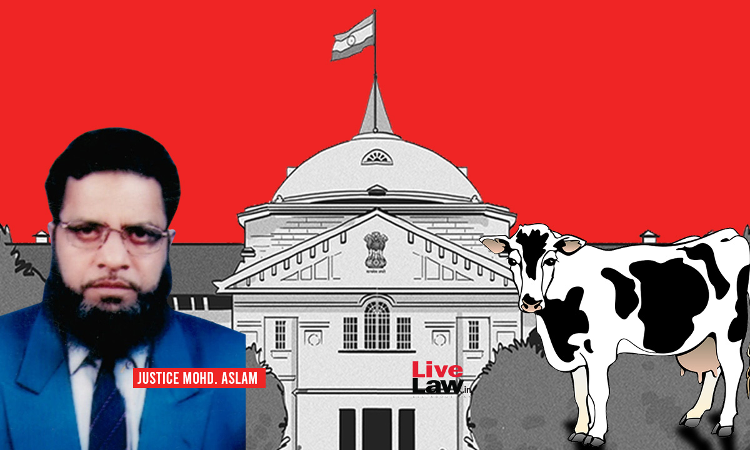 Transportation Of Cow Skin Leather Doesnt Amount To Contravention Of UP Cow Slaughter Act: Allahabad High Court Transportation Of Cow Skin Leather Doesnt Amount To Contravention Of UP Cow Slaughter Act: Allahabad High Court