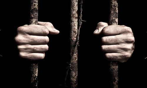 Delhi High Court Grants Three Weeks Parole To NDPS Convict For Arranging Funds For Payment Of Fine Delhi High Court Grants Three Weeks Parole To NDPS Convict For Arranging Funds For Payment Of Fine