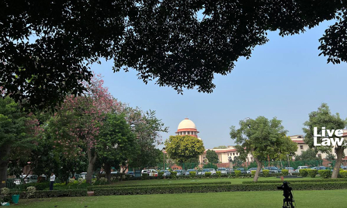 Supreme Court To Consider Petition Seeking Proper Implementation Of Child Protection Law Supreme Court To Consider Petition Seeking Proper Implementation Of Child Protection Law