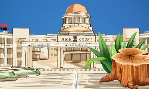 For Every Tree Removed, Ensure Two Are Grown: Allahabad High Court To State Govt For Every Tree Removed, Ensure Two Are Grown: Allahabad High Court To State Govt