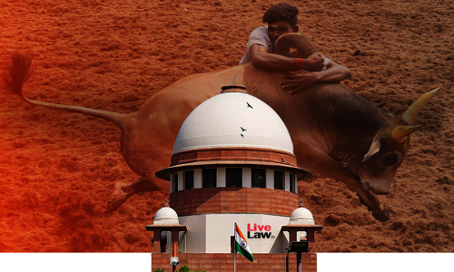Jallikattu Case : Supreme Court Refuses To Extend Fundamental Rights To Animals Jallikattu Case : Supreme Court Refuses To Extend Fundamental Rights To Animals