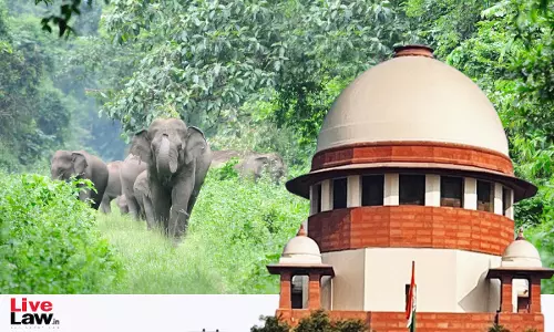 Supreme Court Issues Notice To West Bengal Govt On Contempt Plea Assailing Use Of Spikes, Burning Mashaals To Scare Away Elephants