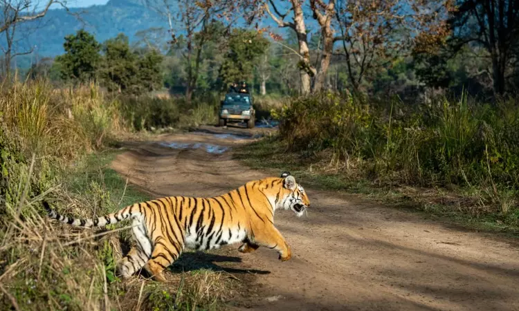 Take Steps For Updating Status Of Conservation Of Tiger & Associated Species In Teral Arc Landscape: Uttarakhand High Court To State Take Steps For Updating Status Of Conservation Of Tiger & Associated Species In Teral Arc Landscape: Uttarakhand High Court To State