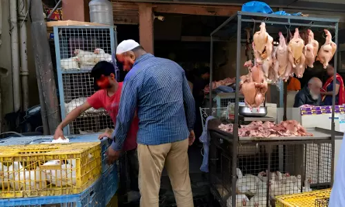 No Unrestricted Freedom To Sell Meat/Run Slaughter Houses On Religious Occasions Sans Complying With Food Safety Laws: Gujarat HC No Unrestricted Freedom To Sell Meat/Run Slaughter Houses On Religious Occasions Sans Complying With Food Safety Laws: Gujarat HC