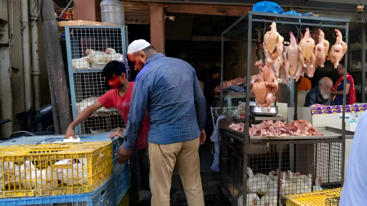 No Unrestricted Freedom To Sell Meat/Run Slaughter Houses On Religious Occasions Sans Complying With Food Safety Laws: Gujarat HC No Unrestricted Freedom To Sell Meat/Run Slaughter Houses On Religious Occasions Sans Complying With Food Safety Laws: Gujarat HC