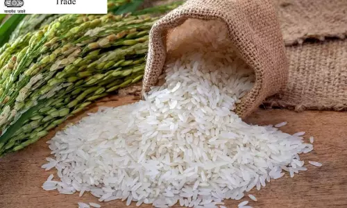 DGFT Extends Application Deadline For Export of Broken Rice To Senegal, Gambia, And Indonesia DGFT Extends Application Deadline For Export of Broken Rice To Senegal, Gambia, And Indonesia