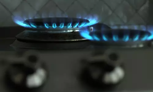 Ministry of Commerce and Industry Issues Quality Control Order for Domestic Gas Stoves Ministry of Commerce and Industry Issues Quality Control Order for Domestic Gas Stoves