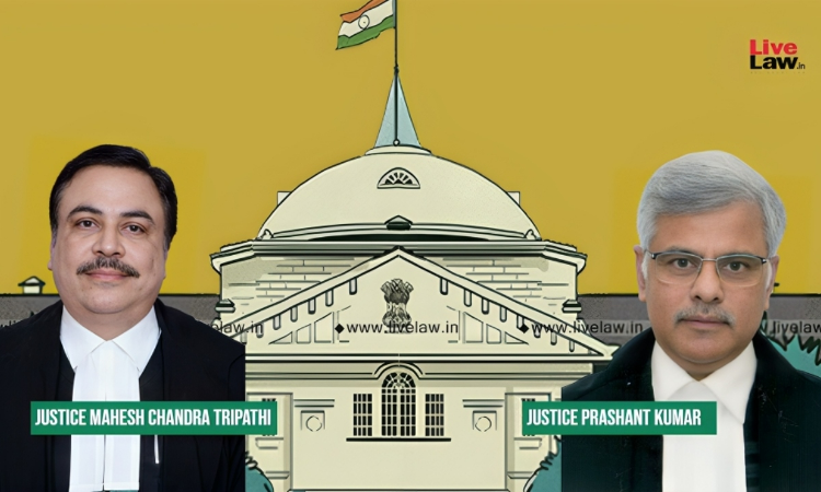 Allahabad High Court Orders ED Probe Into NOIDA Sports City Project, Questions Insolvency By Arena Superstructures Pvt Ltd Allahabad High Court Orders ED Probe Into NOIDA Sports City Project, Questions Insolvency By Arena Superstructures Pvt Ltd